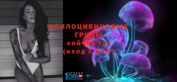ГАЛЛЮЦИНОГЕННЫЕ ГРИБЫ Алексин