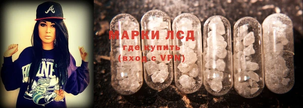 ГАЛЛЮЦИНОГЕННЫЕ ГРИБЫ Алексин