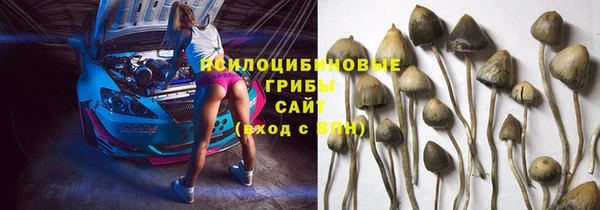 ГАЛЛЮЦИНОГЕННЫЕ ГРИБЫ Алексин
