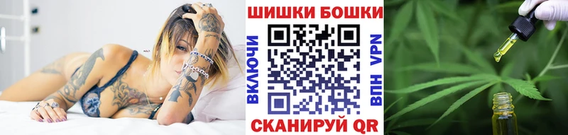 даркнет Telegram  Шацк  Шишки марихуана план  mega маркетплейс 